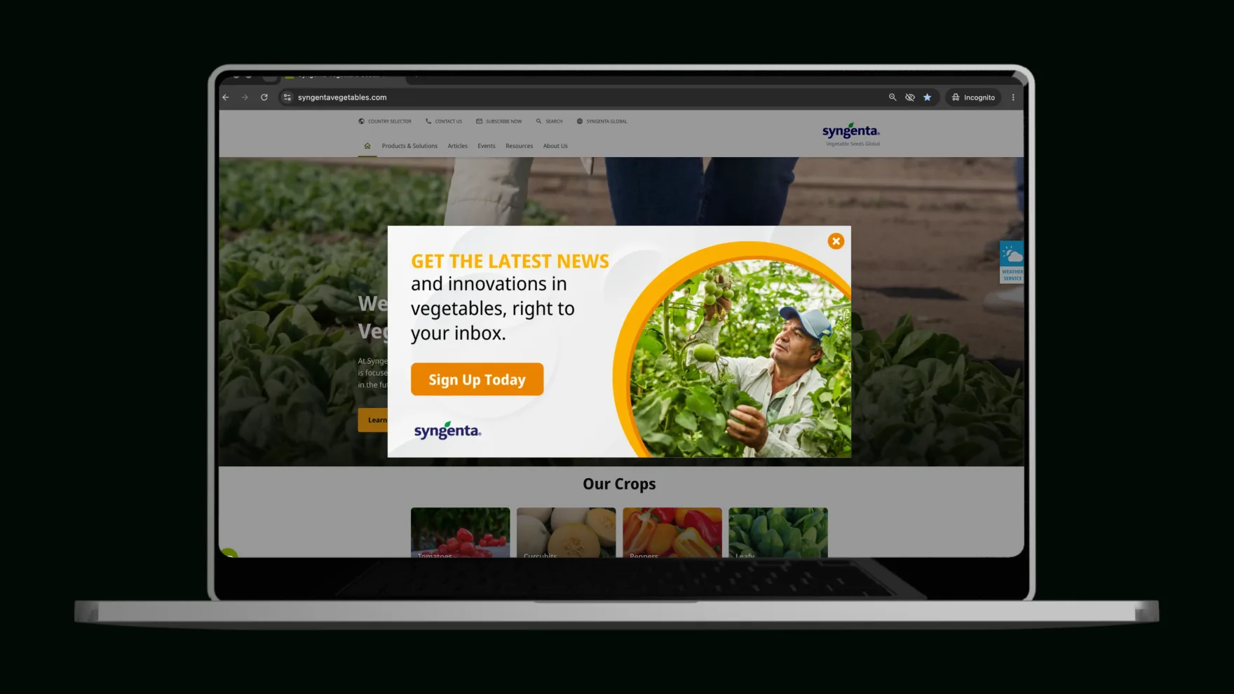 Syngenta Vegetable Seeds — global website